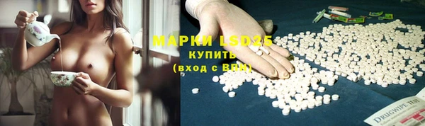 ПСИЛОЦИБИНОВЫЕ ГРИБЫ Арсеньев