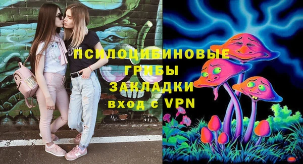 ПСИЛОЦИБИНОВЫЕ ГРИБЫ Арсеньев