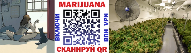 Бошки Шишки тримм  ОМГ ОМГ рабочий сайт  Валдай 